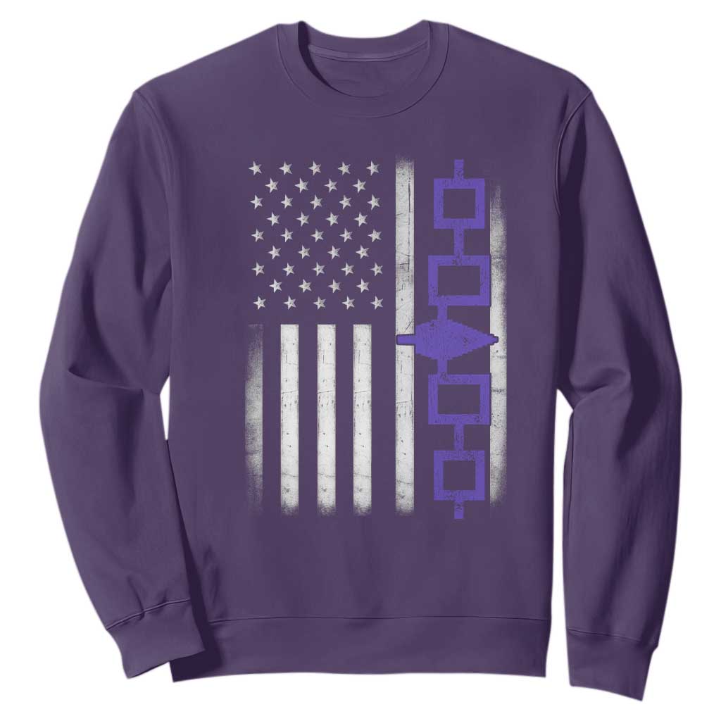 Haudenosaunee Iroquois USA Flag Native American Sweatshirt TS11 Purple Print Your Wear