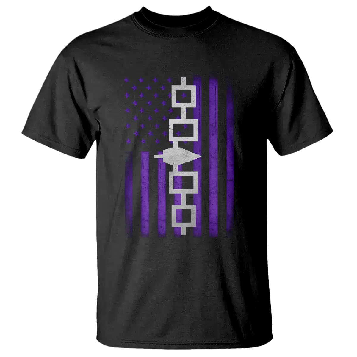 Haudenosaunee Iroquois Pride USA Flag Native American T Shirt TS11 Black Print Your Wear