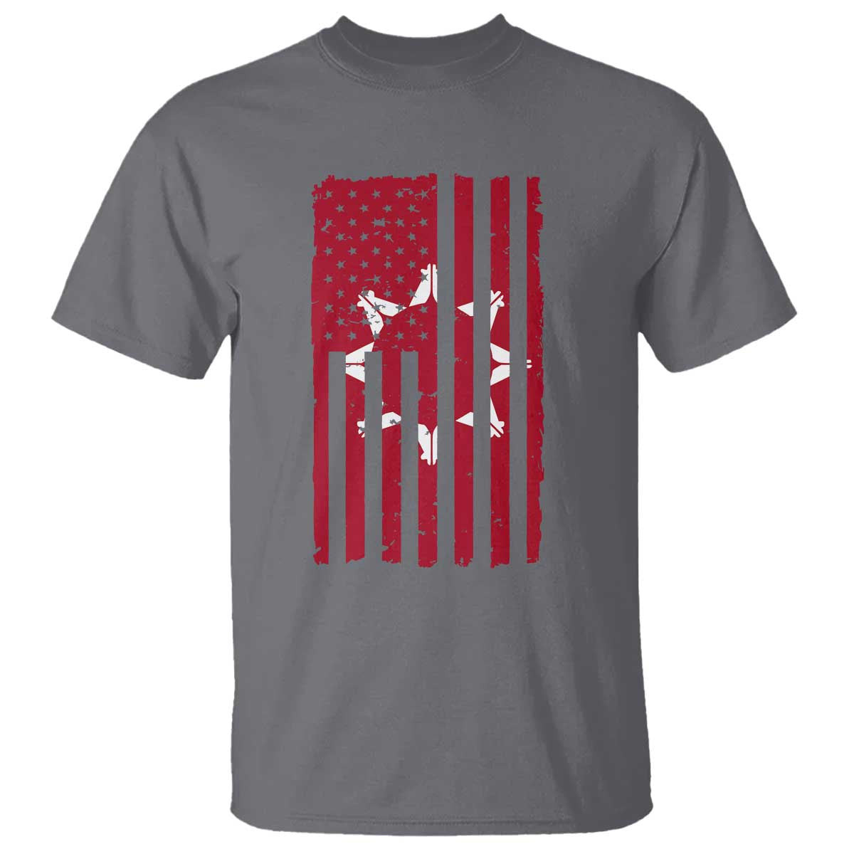 Oglala Lakota Sioux USA Flag Native American T Shirt TS11 Charcoal Print Your Wear
