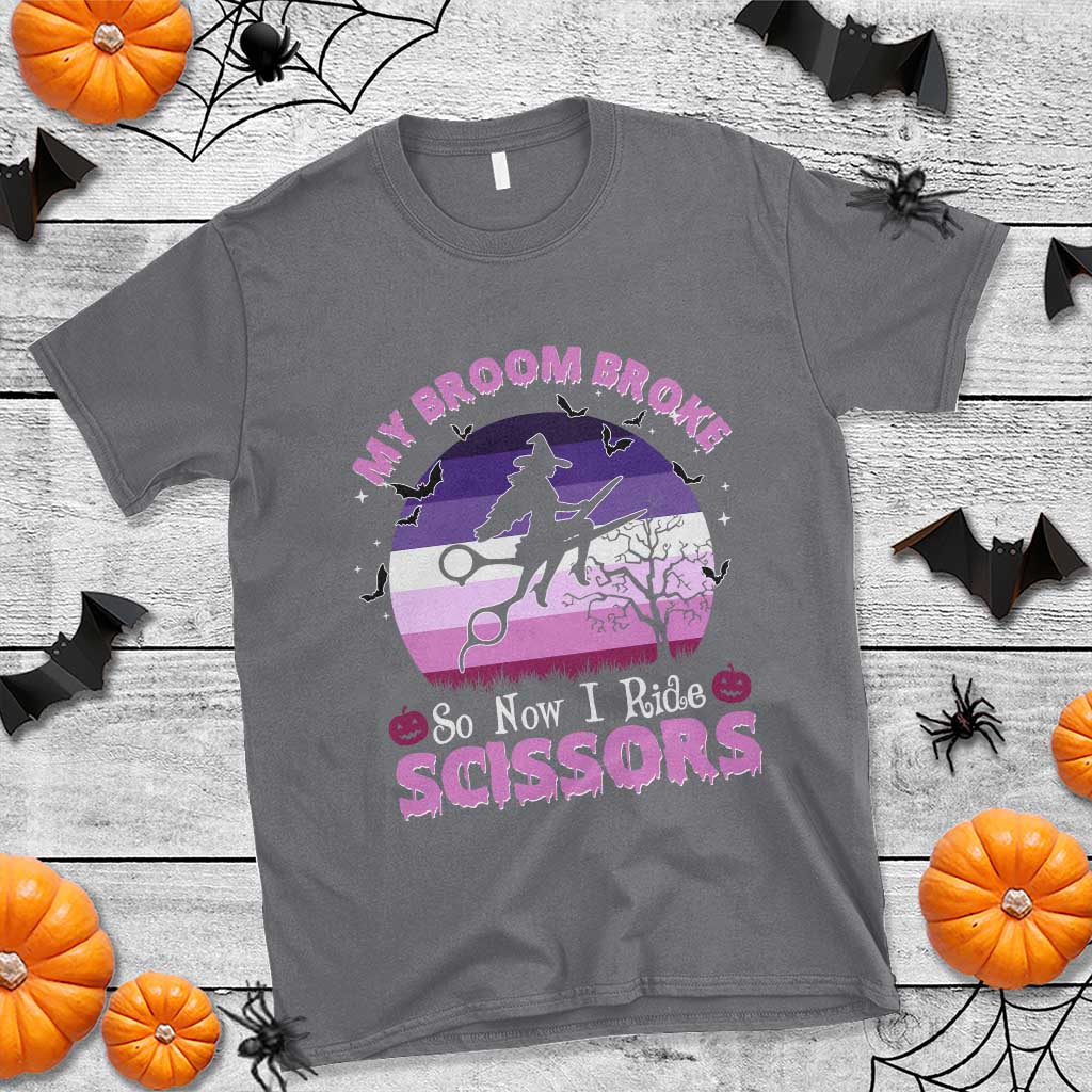 Funny Lesbian Witch Halloween T Shirt My Broom Broke So Now I Ride Scissors TS11 Charcoal Print Your Wear