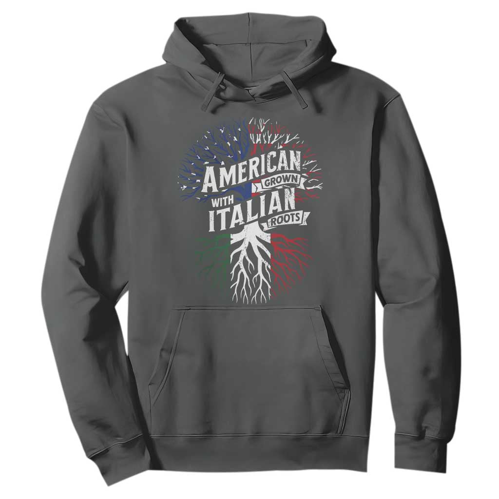 American Grown With Italian Roots Hoodie Family Tree Italy Flag TS11 Dark Heather Print Your Wear