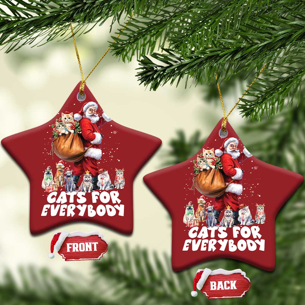 Funny Xmas Cat Christmas Ornament Cats For Everybody Xmas Santa Pet TS11 Star Red Print Your Wear