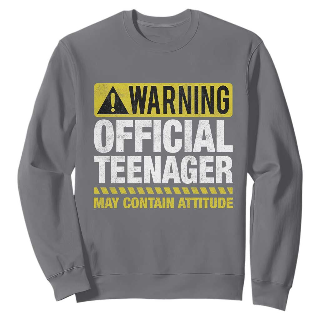 13th Birthday Sweatshirt Warning Official Teenager May Contain Attitude Funny 13 Years Old TS11 Charcoal Print Your Wear