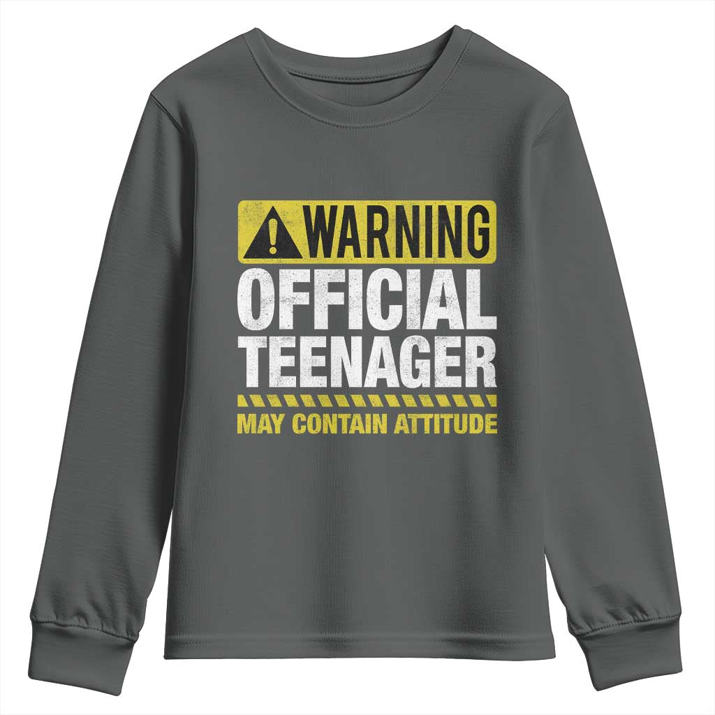 13th Birthday Youth Sweatshirt Warning Official Teenager May Contain Attitude Funny 13 Years Old TS11 Dark Heather Print Your Wear