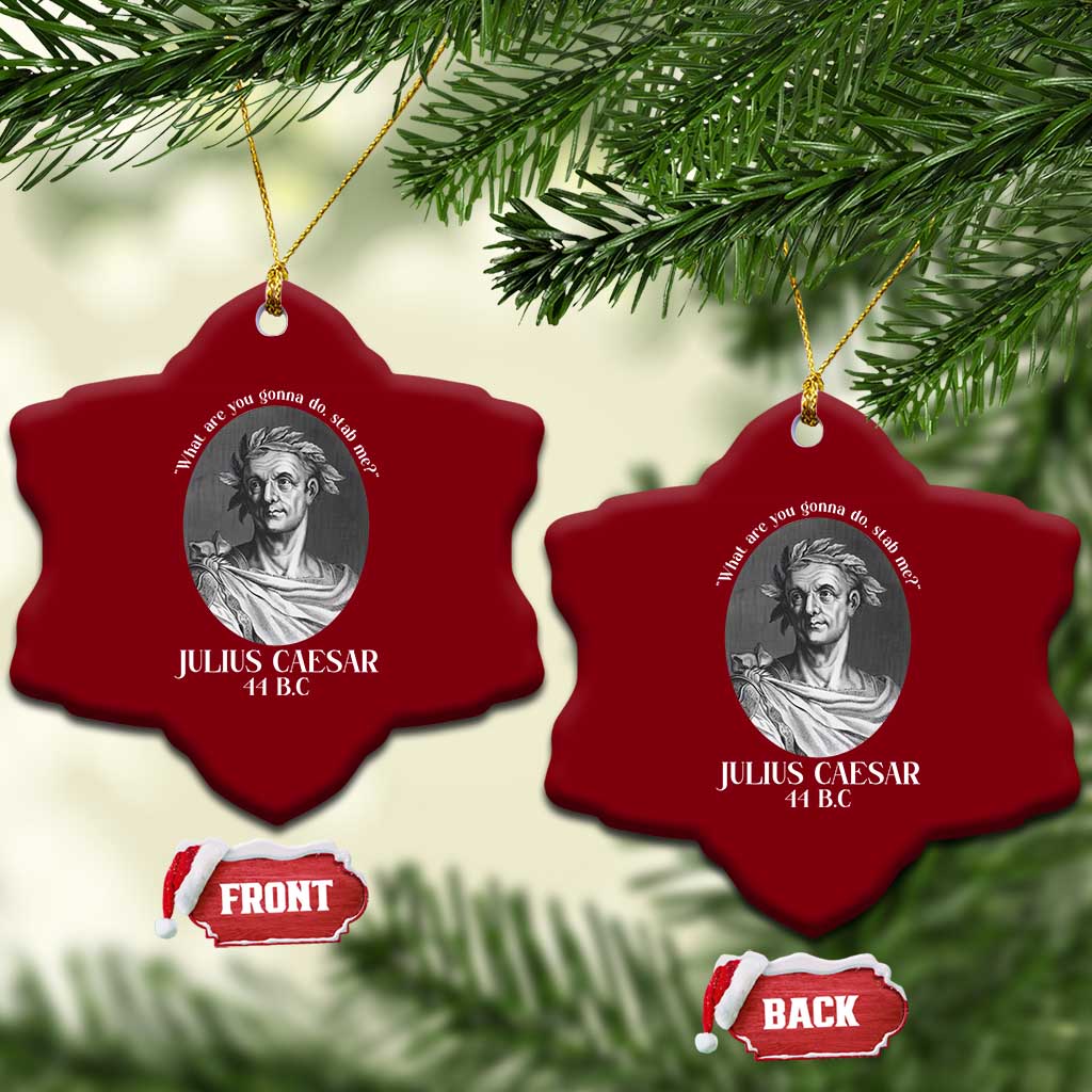 Funny Julius Caesar Ceramic Ornament What Are You Gonna Do Stab Me Roman History TS11 Print Your Wear
