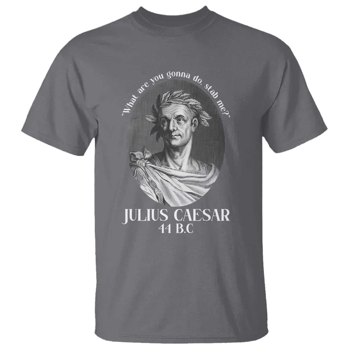 Funny Julius Caesar T Shirt What Are You Gonna Do Stab Me Roman History TS11 Charcoal Print Your Wear