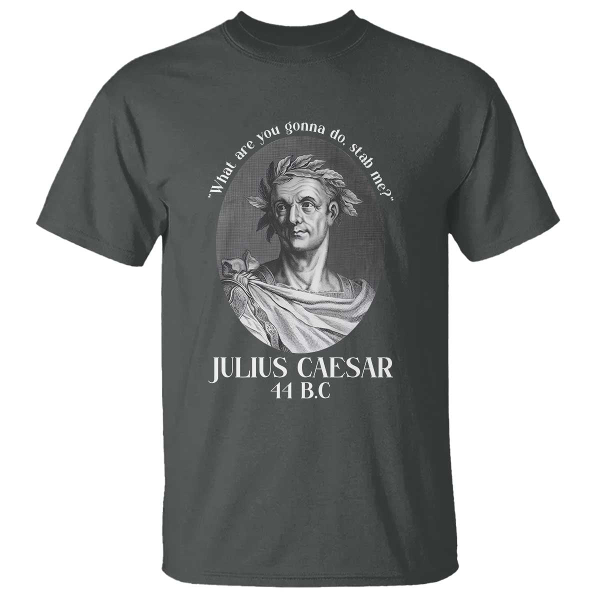 Funny Julius Caesar T Shirt What Are You Gonna Do Stab Me Roman History TS11 Dark Heather Print Your Wear
