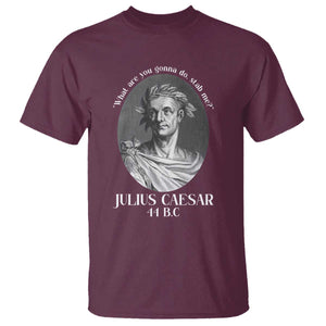 Funny Julius Caesar T Shirt What Are You Gonna Do Stab Me Roman History TS11 Maroon Print Your Wear