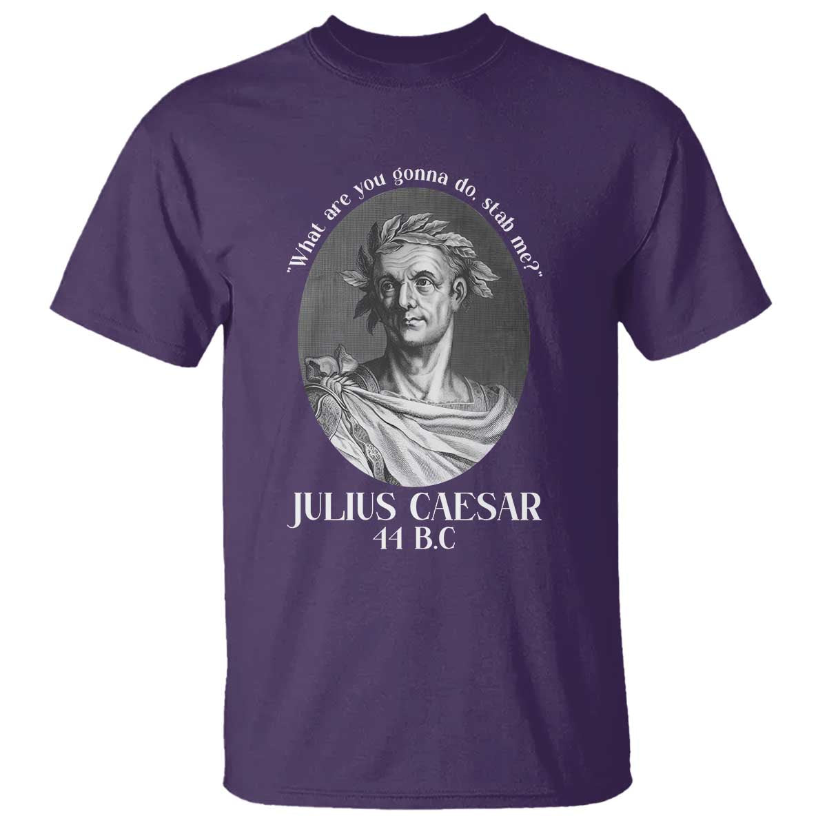 Funny Julius Caesar T Shirt What Are You Gonna Do Stab Me Roman History TS11 Purple Print Your Wear