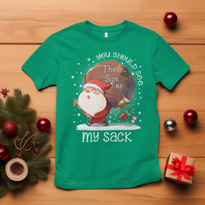 Funny Christmas Santa T Shirt You Should See The Size Of My Sack Presents TS11 Irish Green Print Your Wear