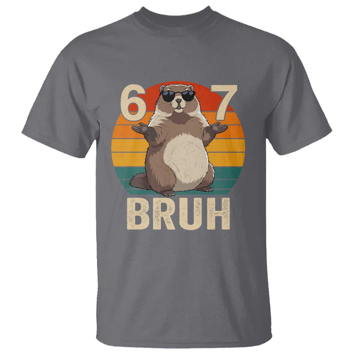 Funny Groundhog 67 T Shirt Six Seven Bruh Retro Vintage Woodchuck Day TS11 Charcoal Print Your Wear