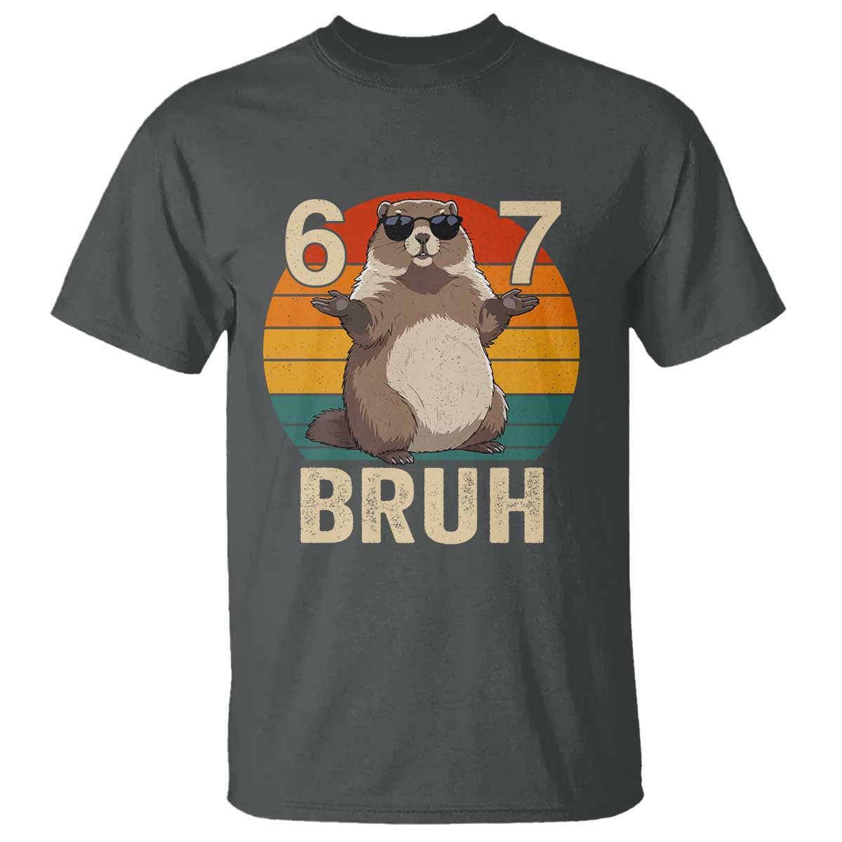 Funny Groundhog 67 T Shirt Six Seven Bruh Retro Vintage Woodchuck Day TS11 Dark Heather Print Your Wear
