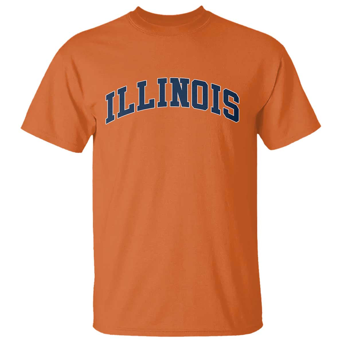 Illinois Sports Fan Vintage Bold Throwback IL State T Shirt TS11 Orange Print Your Wear
