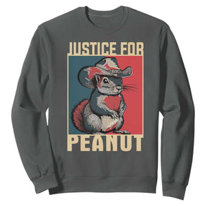 Justice For Peanut The Squirrel 2024 Sweatshirt TS11 Dark Heather Print Your Wear