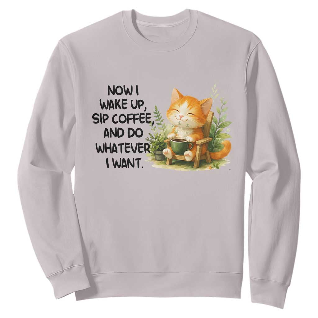 Cat Coffee Lover Sweatshirt Now I Wake Up Sip Coffee And Do Whatever I Want TS12 Ice Gray Print Your Wear