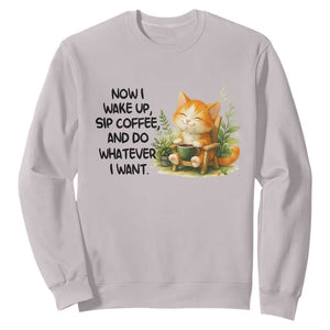 Cat Coffee Lover Sweatshirt Now I Wake Up Sip Coffee And Do Whatever I Want TS12 Ice Gray Print Your Wear