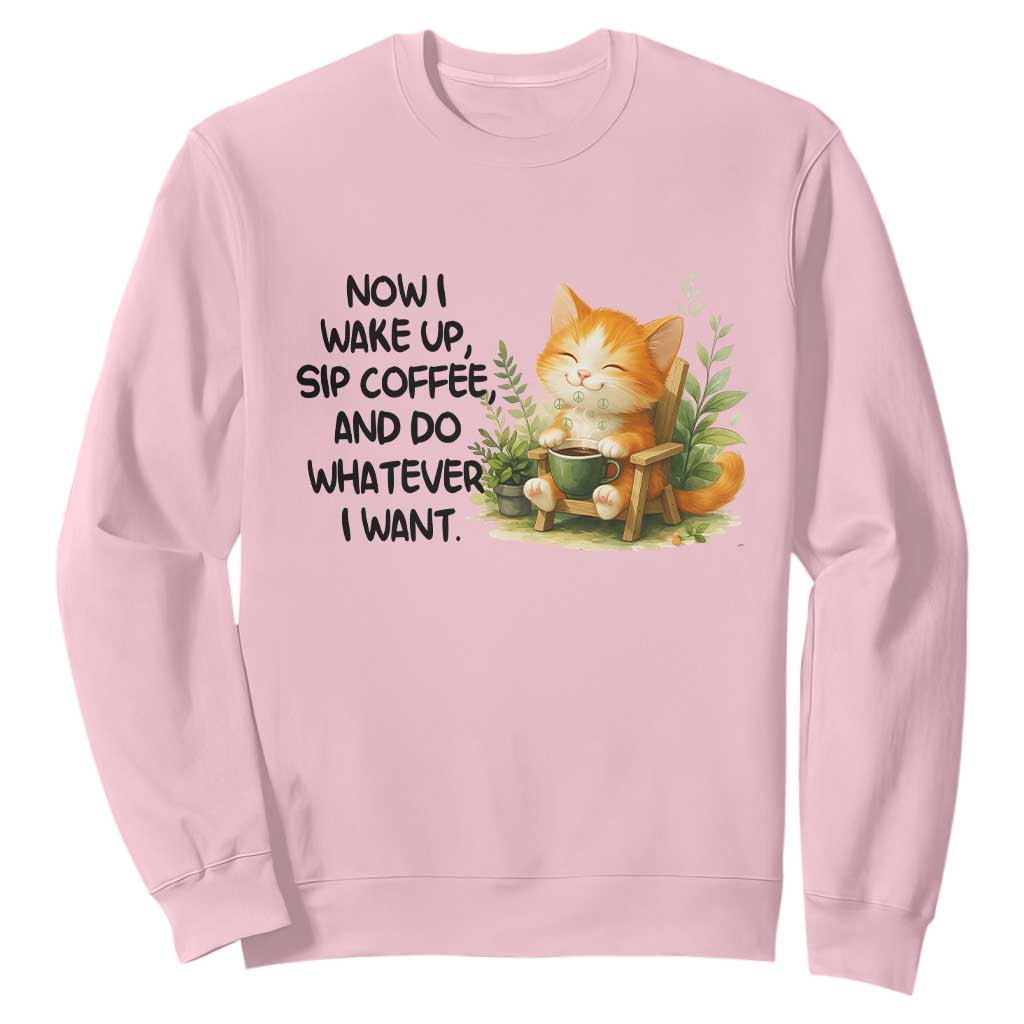 Cat Coffee Lover Sweatshirt Now I Wake Up Sip Coffee And Do Whatever I Want TS12 Light Pink Print Your Wear
