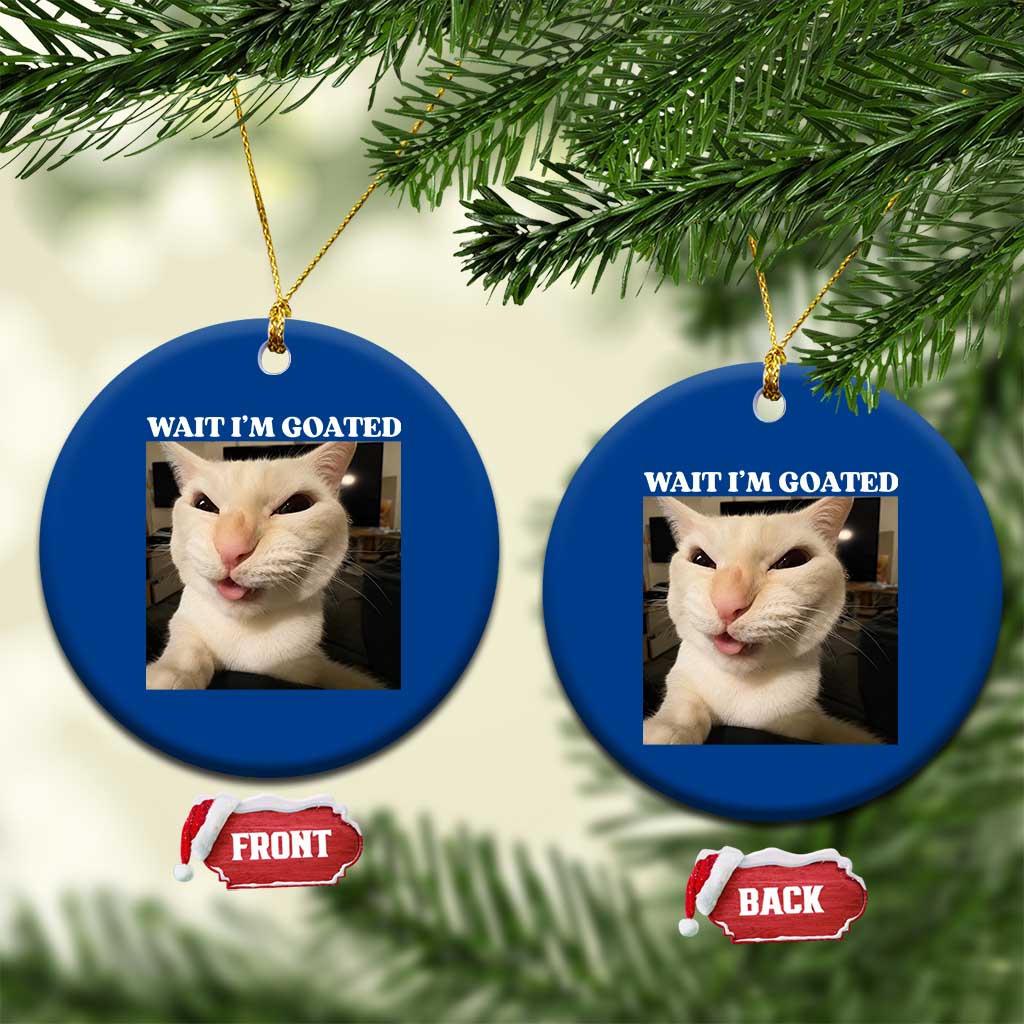 Funny Cat Meme Lover Ceramic Ornament TS12 1pc Blue Print Your Wear