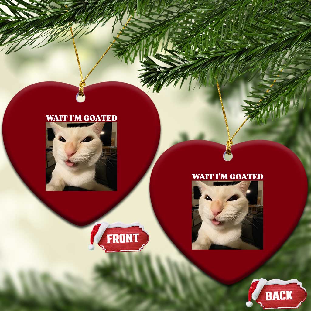 Funny Cat Meme Lover Ceramic Ornament TS12 Print Your Wear
