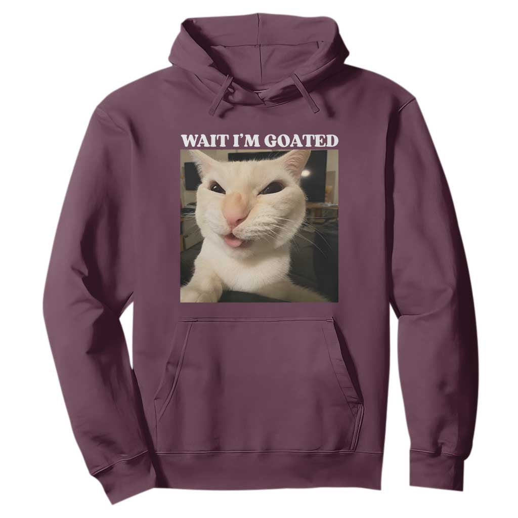 Funny Cat Meme Lover Hoodie TS12 Maroon Print Your Wear