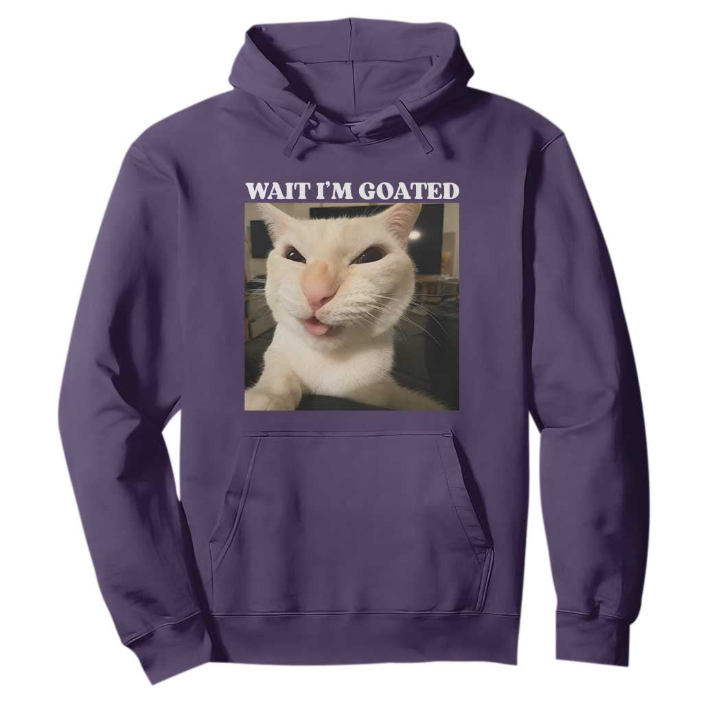 Funny Cat Meme Lover Hoodie TS12 Purple Print Your Wear