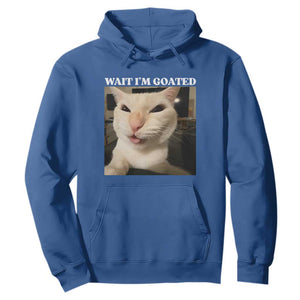 Funny Cat Meme Lover Hoodie TS12 Royal Blue Print Your Wear
