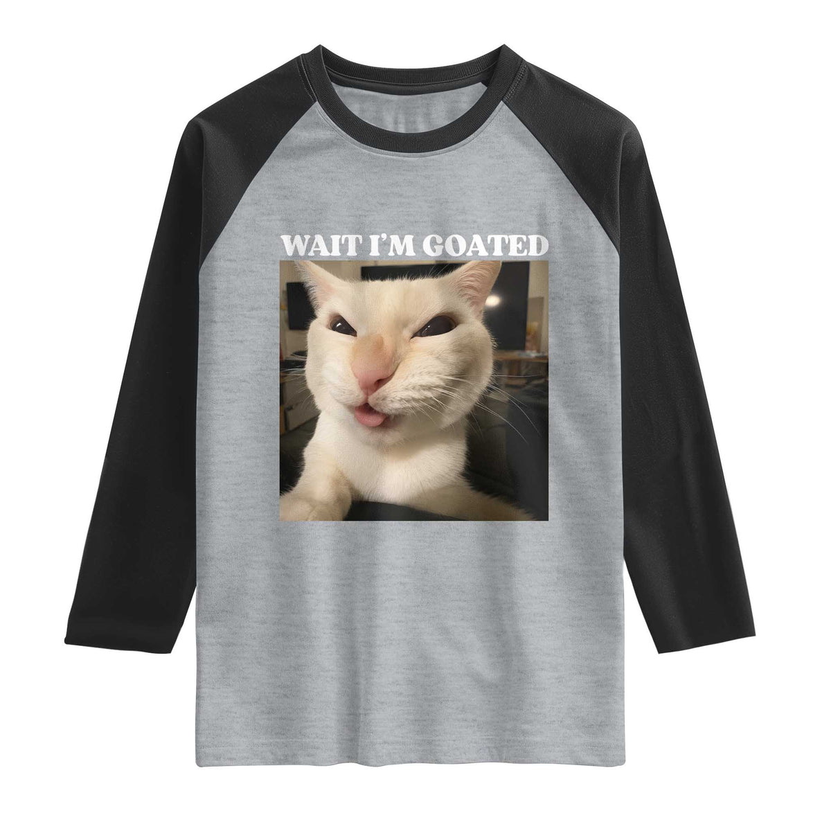 Funny Cat Meme Lover Raglan Shirt TS12 Heather Gray Black Print Your Wear