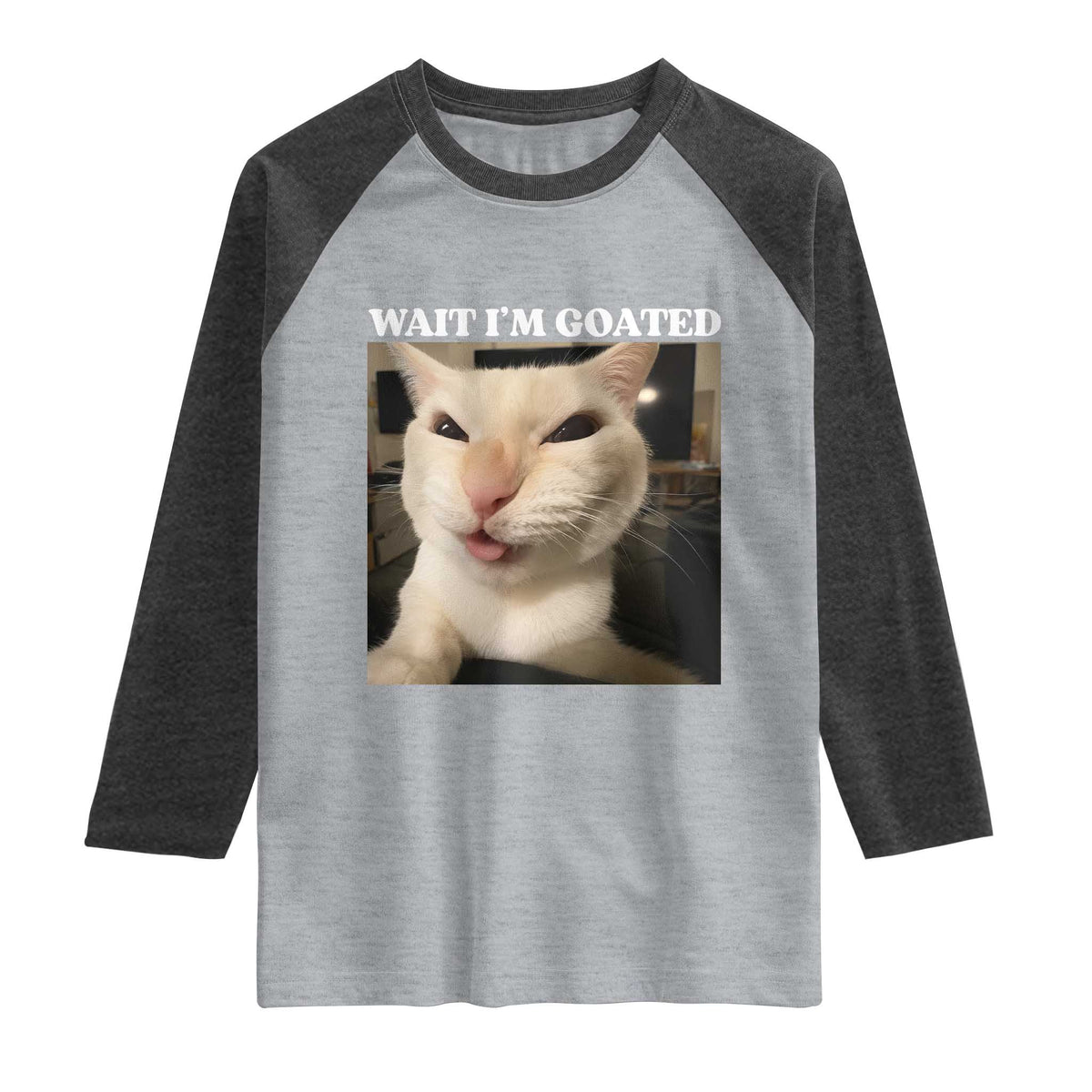 Funny Cat Meme Lover Raglan Shirt TS12 Heather Gray Heather Charcoal Print Your Wear