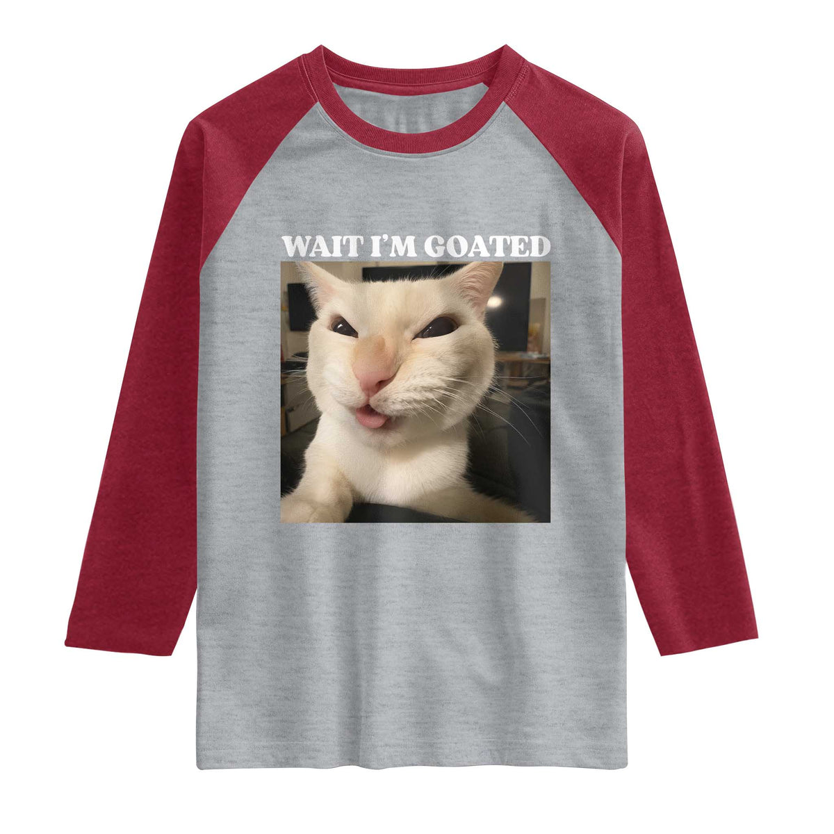 Funny Cat Meme Lover Raglan Shirt TS12 Heather Gray Heather Red Print Your Wear