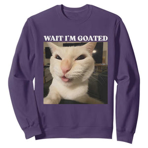 Funny Cat Meme Lover Sweatshirt TS12 Purple Print Your Wear