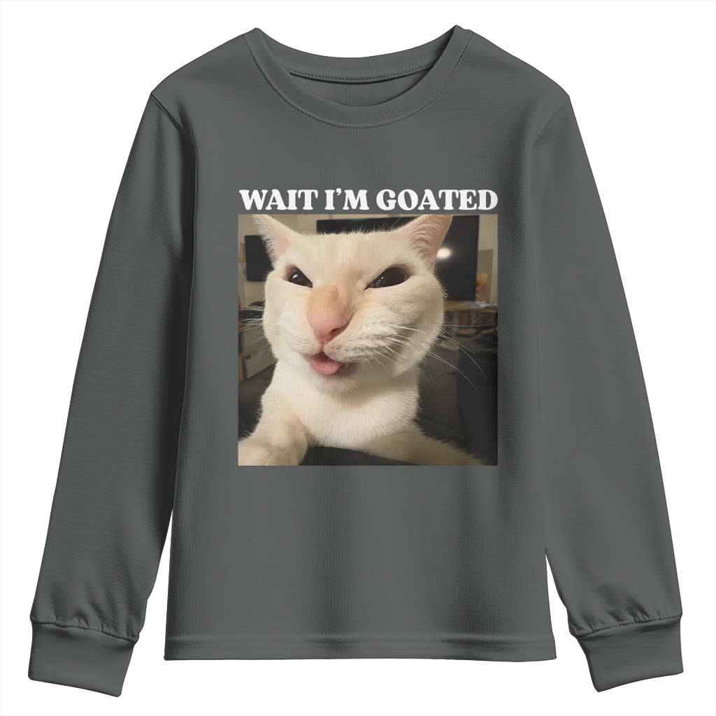 Funny Cat Meme Lover Youth Sweatshirt TS12 Dark Heather Print Your Wear