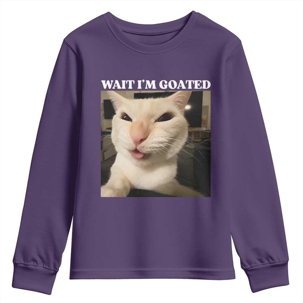 Funny Cat Meme Lover Youth Sweatshirt TS12 Purple Print Your Wear