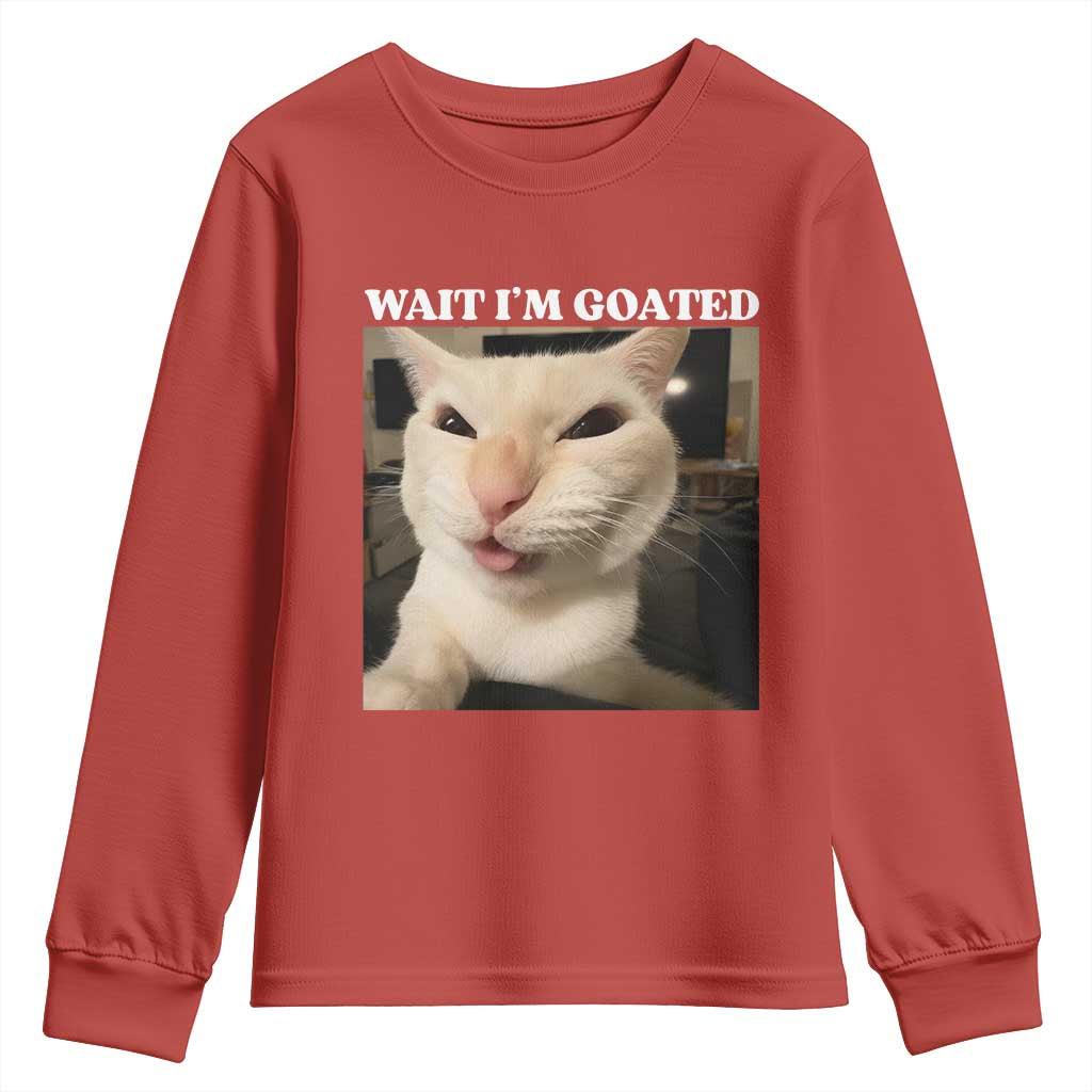 Funny Cat Meme Lover Youth Sweatshirt TS12 Red Print Your Wear