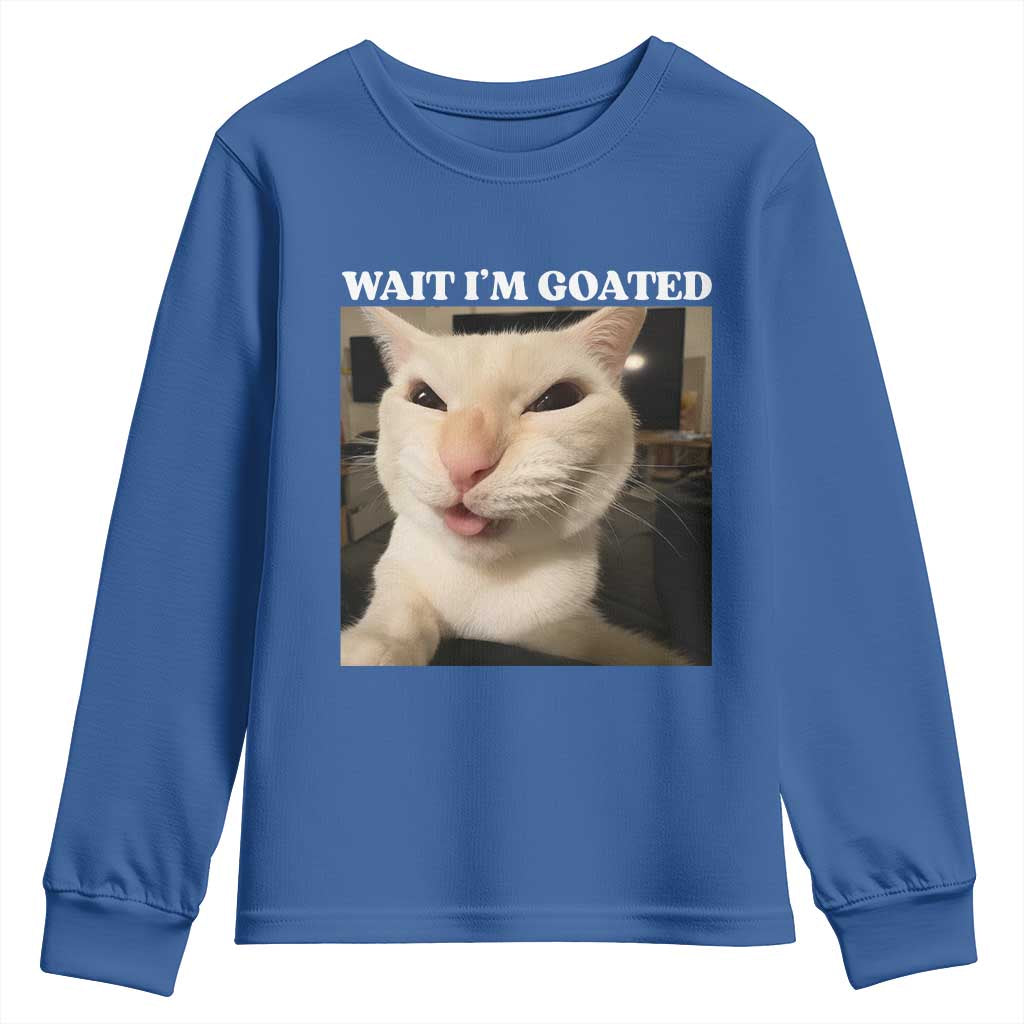 Funny Cat Meme Lover Youth Sweatshirt TS12 Royal Blue Print Your Wear