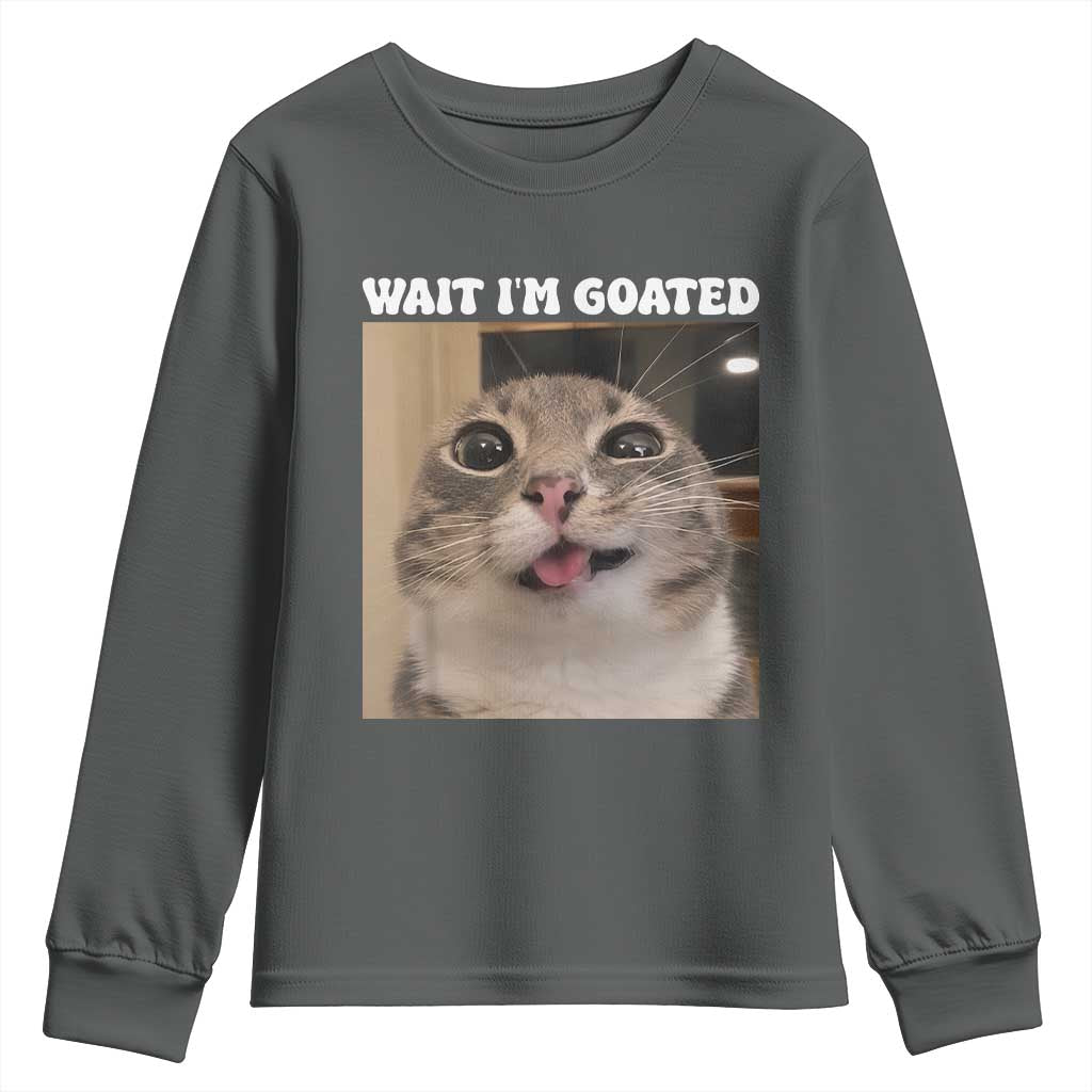 Funny Silly Cat Meme Youth Sweatshirt Wait Im Goated TS12 Dark Heather Print Your Wear