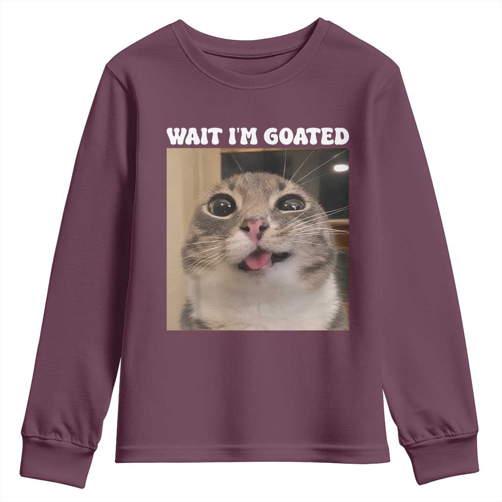 Funny Silly Cat Meme Youth Sweatshirt Wait Im Goated TS12 Maroon Print Your Wear