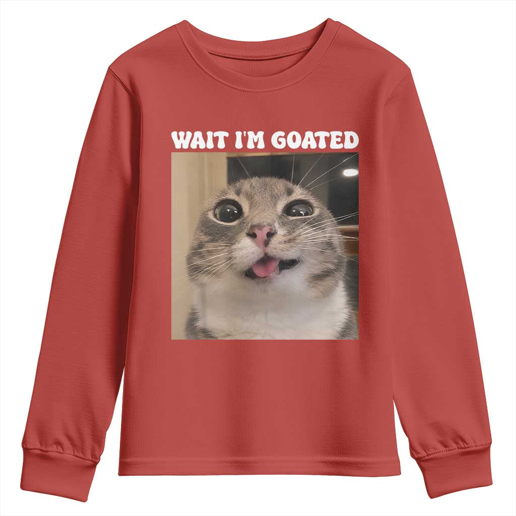 Funny Silly Cat Meme Youth Sweatshirt Wait Im Goated TS12 Red Print Your Wear