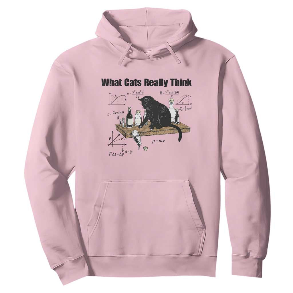 Funny Physics Cat Meme Hoodie What Cats Really Think TS12 Light Pink Print Your Wear