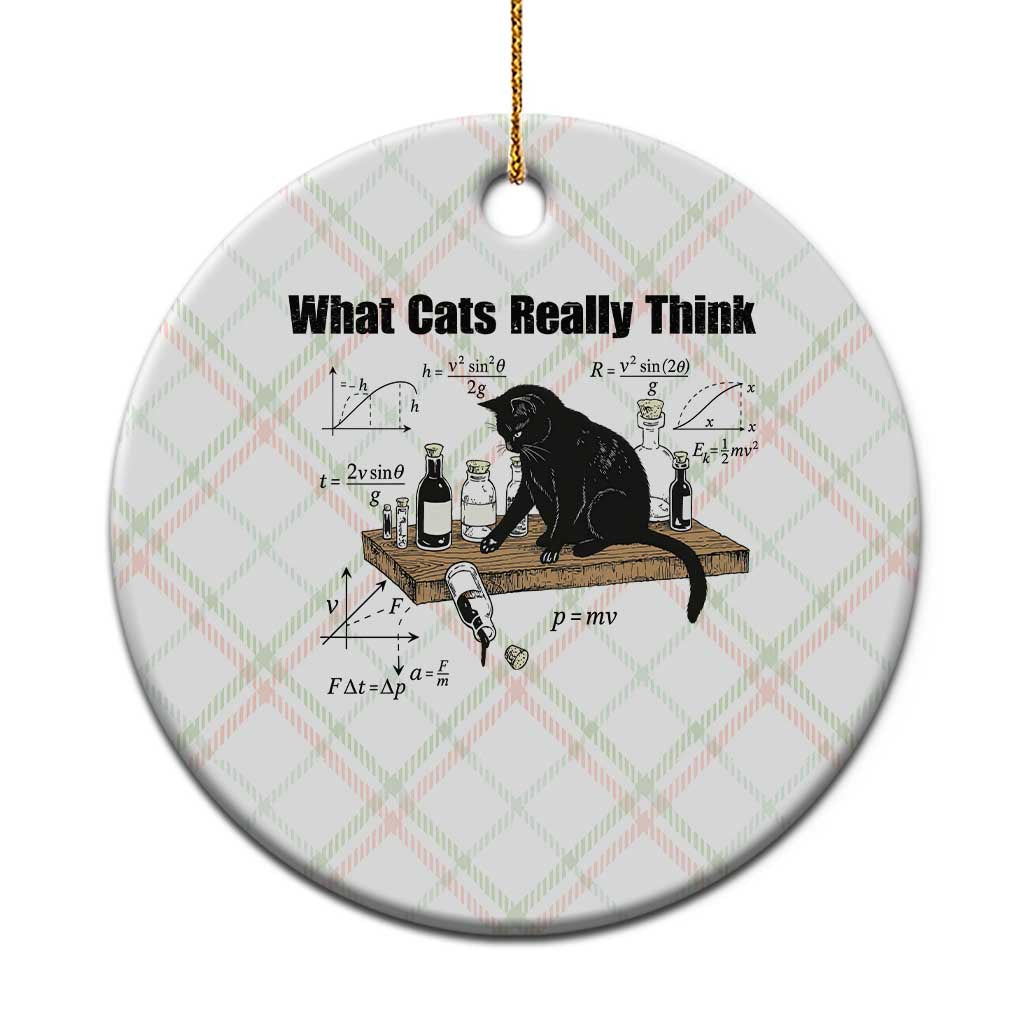 Funny Physics Cat Meme Ceramic Ornament What Cats Really Think TS12 1pc Christmas Plaid Print Your Wear