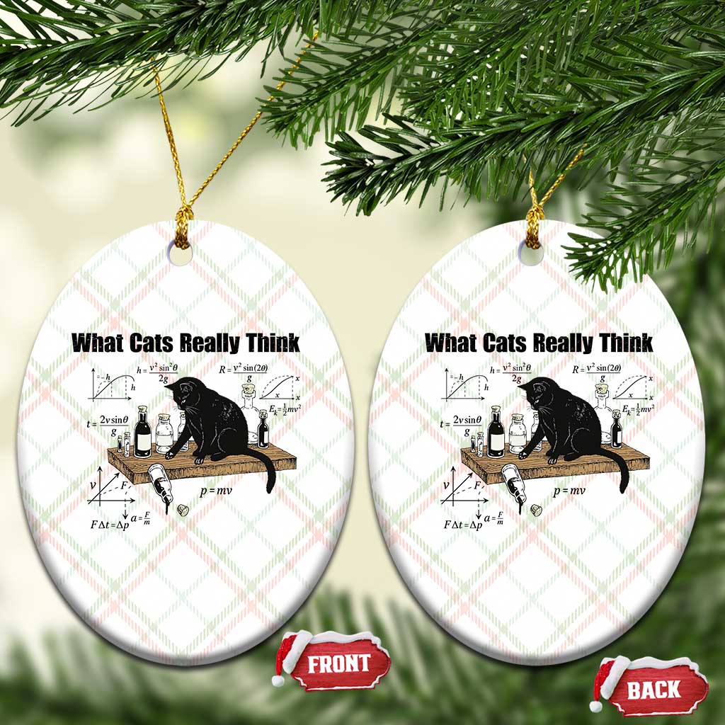 Funny Physics Cat Meme Ceramic Ornament What Cats Really Think TS12 Print Your Wear