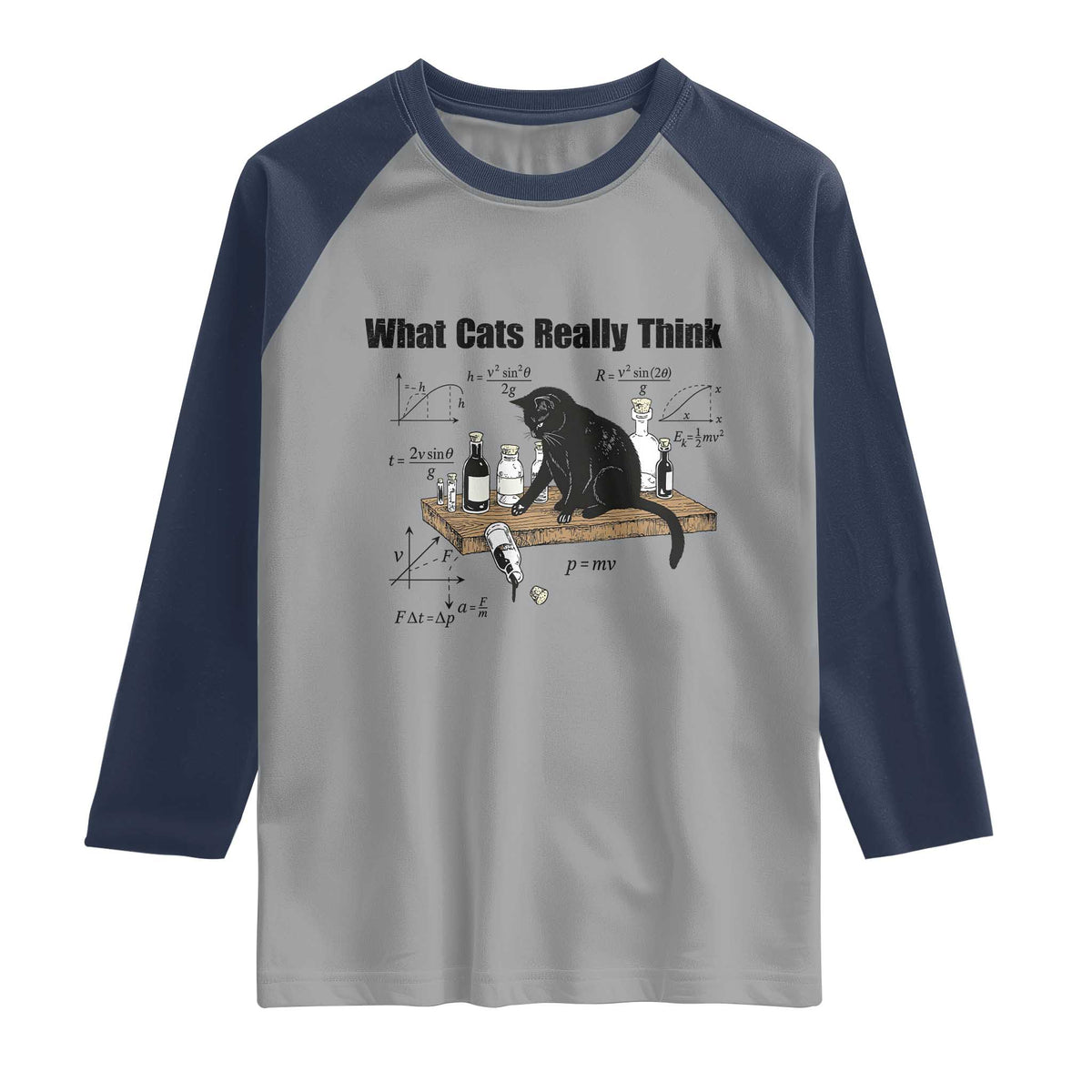 Funny Physics Cat Meme Raglan Shirt What Cats Really Think TS12 Sport Gray Navy Print Your Wear