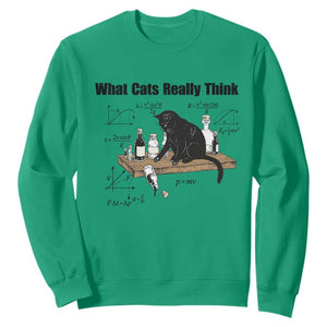 Funny Physics Cat Meme Sweatshirt What Cats Really Think TS12 Irish Green Print Your Wear
