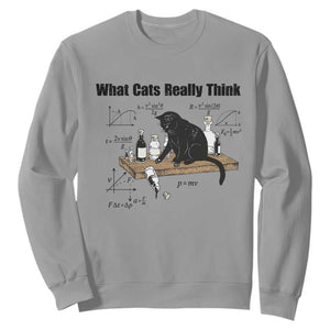 Funny Physics Cat Meme Sweatshirt What Cats Really Think TS12 Sport Gray Print Your Wear