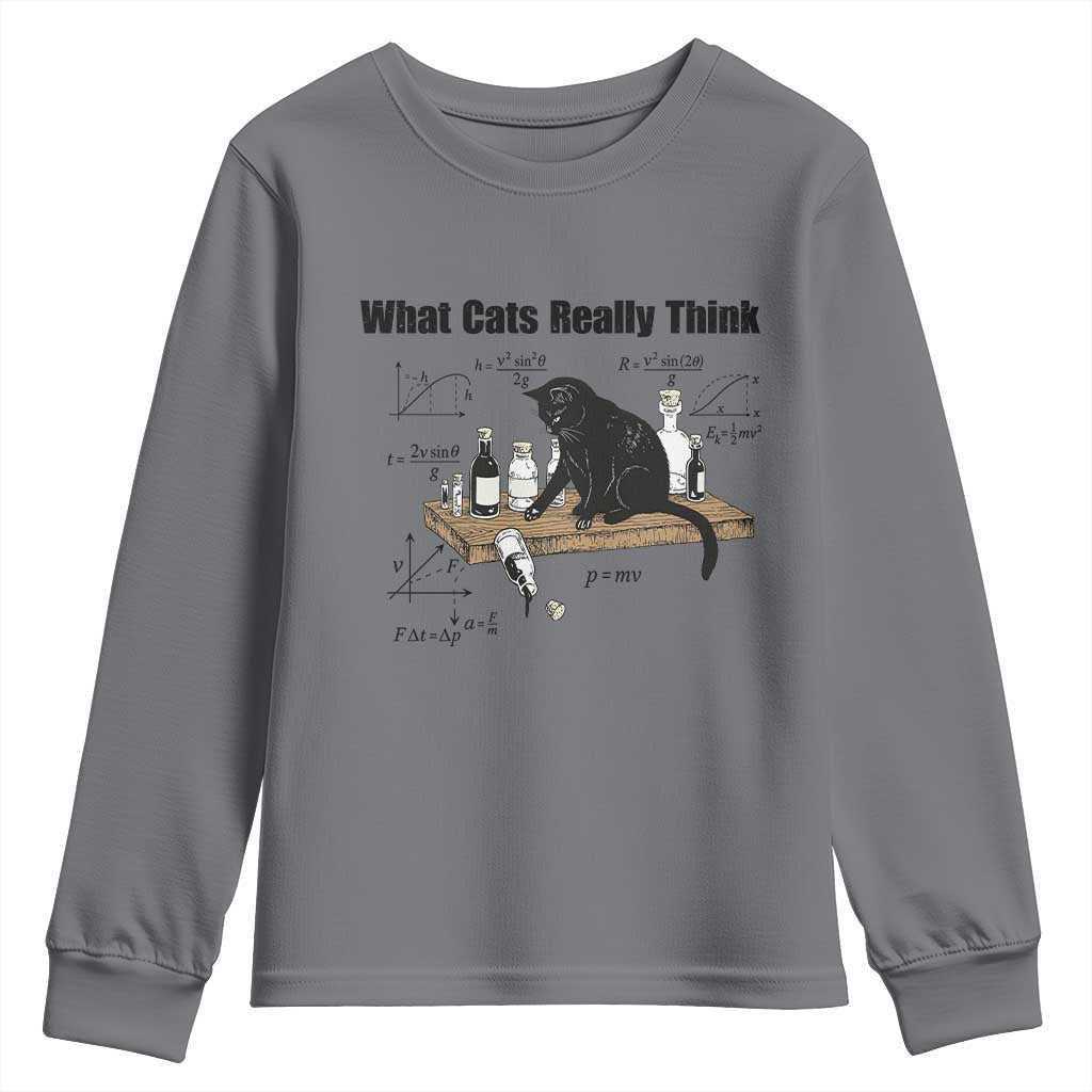 Funny Physics Cat Meme Youth Sweatshirt What Cats Really Think TS12 Charcoal Print Your Wear