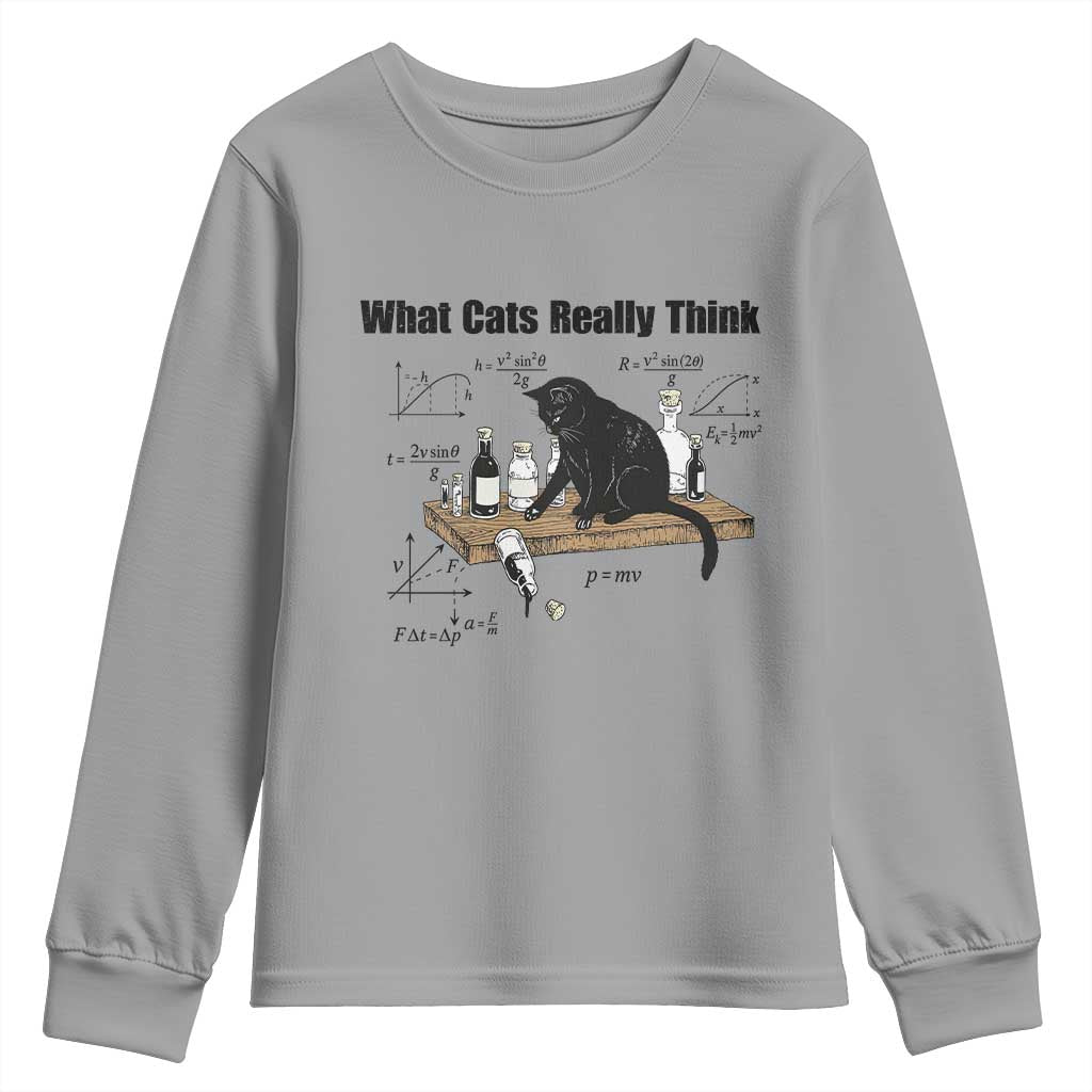 Funny Physics Cat Meme Youth Sweatshirt What Cats Really Think TS12 Sport Gray Print Your Wear