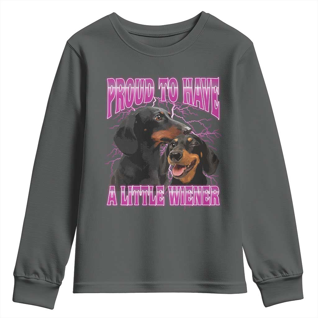 Funny Dachshund Dog Meme Youth Sweatshirt Proud To Have A Little Wiener TS12 Dark Heather Print Your Wear
