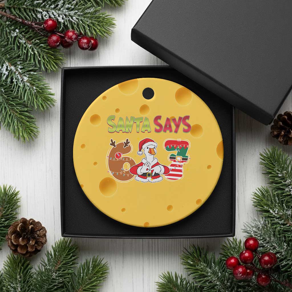 Funny Sant Goose Says Six Seven Ceramic Ornament Christmas Gift For Gen Z TS12 1pc Yellow Cheese Print Your Wear