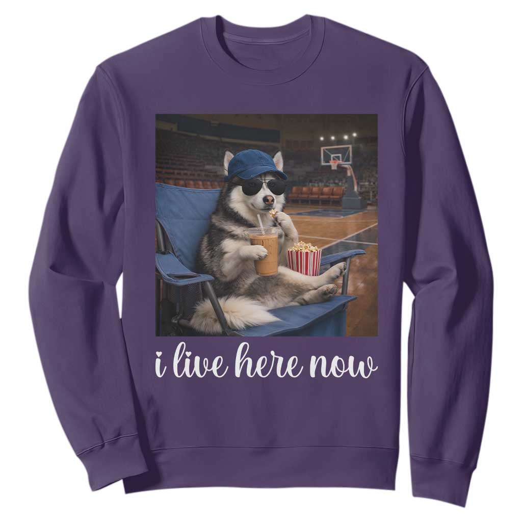 Funny Sarcastic Husky Basketball Sweatshirt I Live Here Now TS12 Purple Print Your Wear