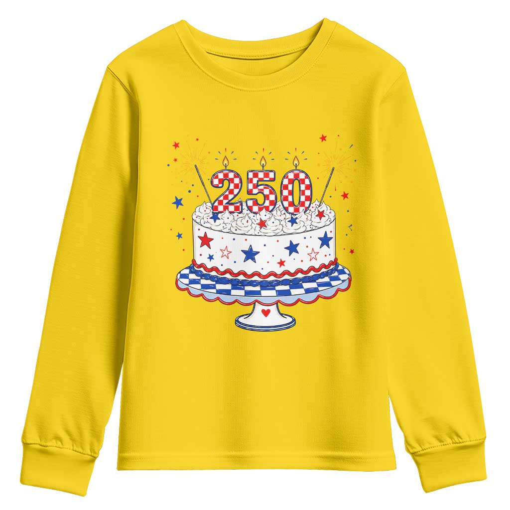 USA 250th Anniversary Birthday Cake Party Gift Youth Sweatshirt TS12 Daisy Print Your Wear
