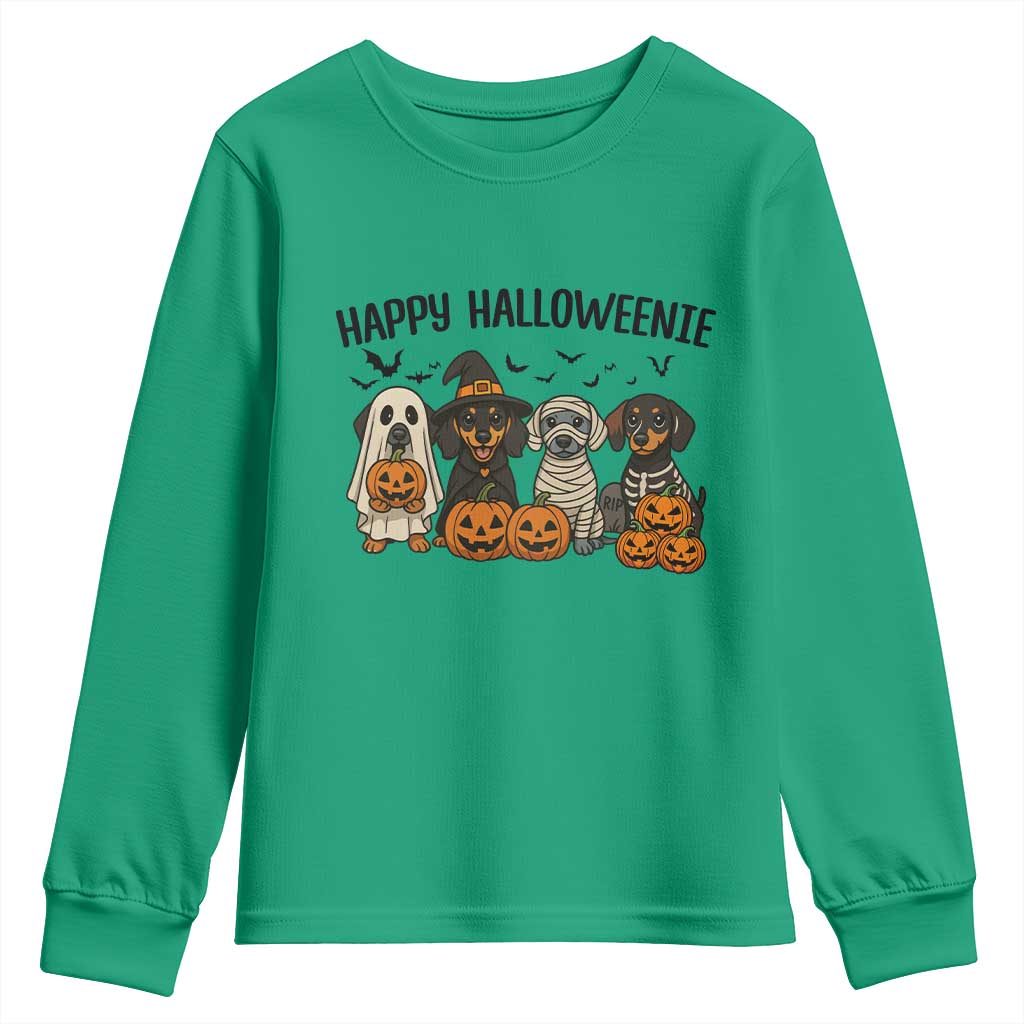 Funny Halloween Dachshund Youth Sweatshirt Happy Halloweenie TS12 Irish Green Print Your Wear